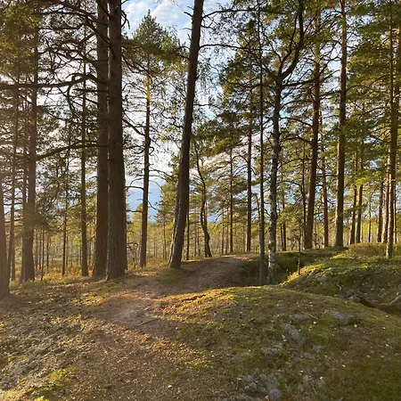 Auglu Ielas Pirts Maja