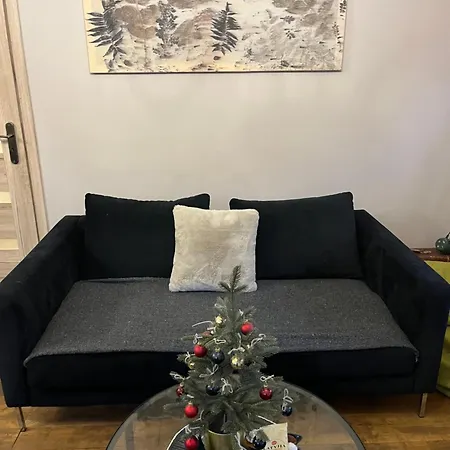 Semesterbostad Auglu Ielas Pirts Maja *