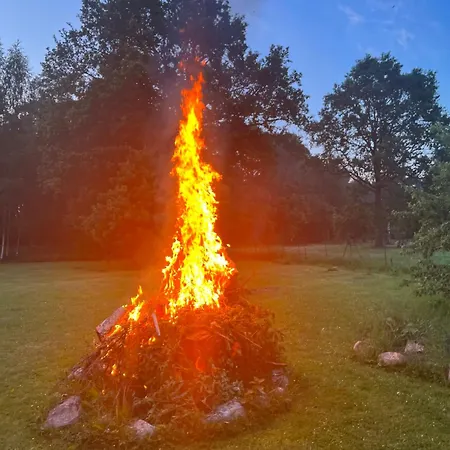 Auglu Ielas Pirts Maja