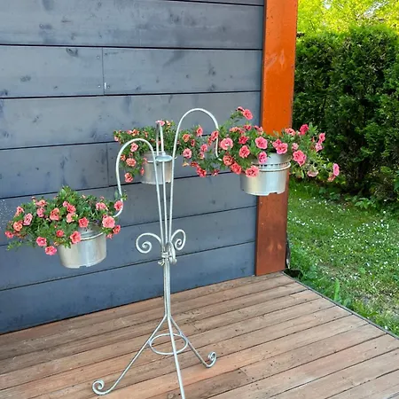 Auglu Ielas Pirts Maja