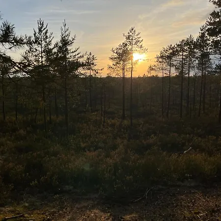 Auglu Ielas Pirts Maja Semesterbostad *