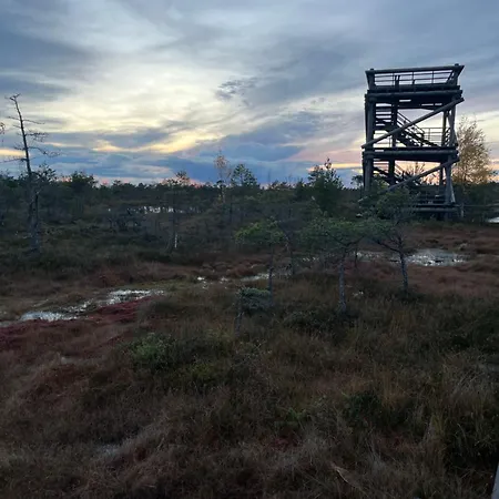 Semesterbostad Auglu Ielas Pirts Maja *