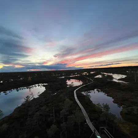 Auglu Ielas Pirts Maja * Jurmala