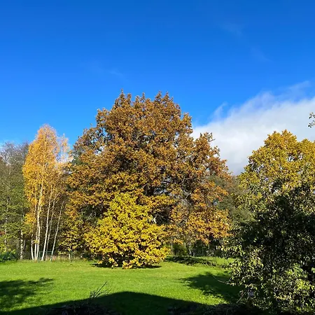 Holiday home Auglu Ielas Pirts Maja